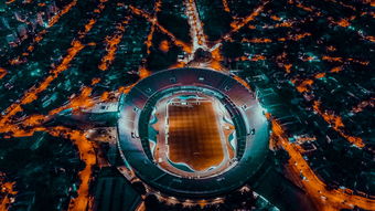 真人足球游戏-埃及队未来规划：全方位打造高水平乒乓队伍，埃及乒乓球男团名单